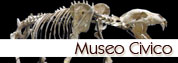 vai a Museo Civico di Garessio