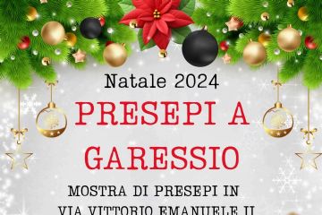 immagine: sfondo natalizio
Da sabato 21 dicembre 2024 a lunedì 6 gennaio 2025, in Via Vittorio Emanuele II, 27, nei locali Parrocchiali, si svolgerà una mostra di Presepi, con partecipazione aperta a tutti.