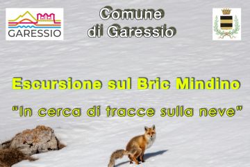 immagine: neve su uno sfondo innevato
Sabato 27 dicembre 2025 si svolgerà l'escursione gratuita sul Bric Mindino per esplorare il territorio di Garessio.

Per info e prenotazioni:
Aldo Acquarone geologo e guida escursionistica ambientale della Regione Piemonte: 
3356214395
mail aldoacquarone@gmail.com
Gabriele Cristiani
Fotografo Naturalista, guida Parco Alpi Marittime e guida escursionistica ambientale Regione Piemonte
3356037170
gabri.cristiani@gmail.com


                                    