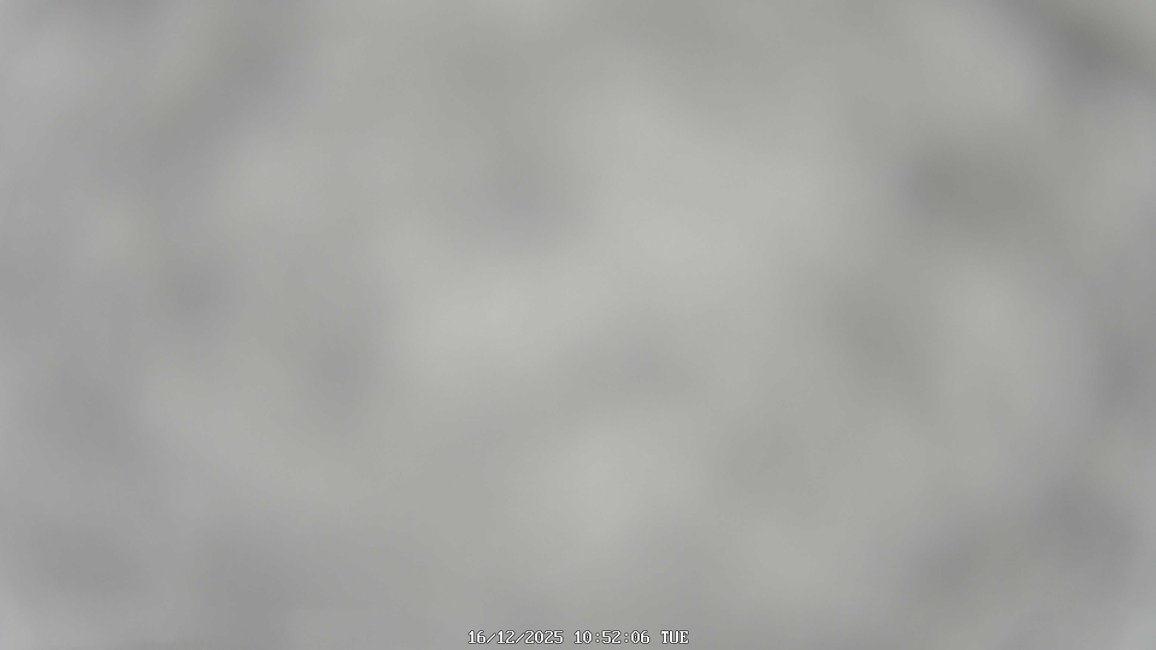 immagine della webcam nei dintorni di Frabosa Soprana: webcam Garessio