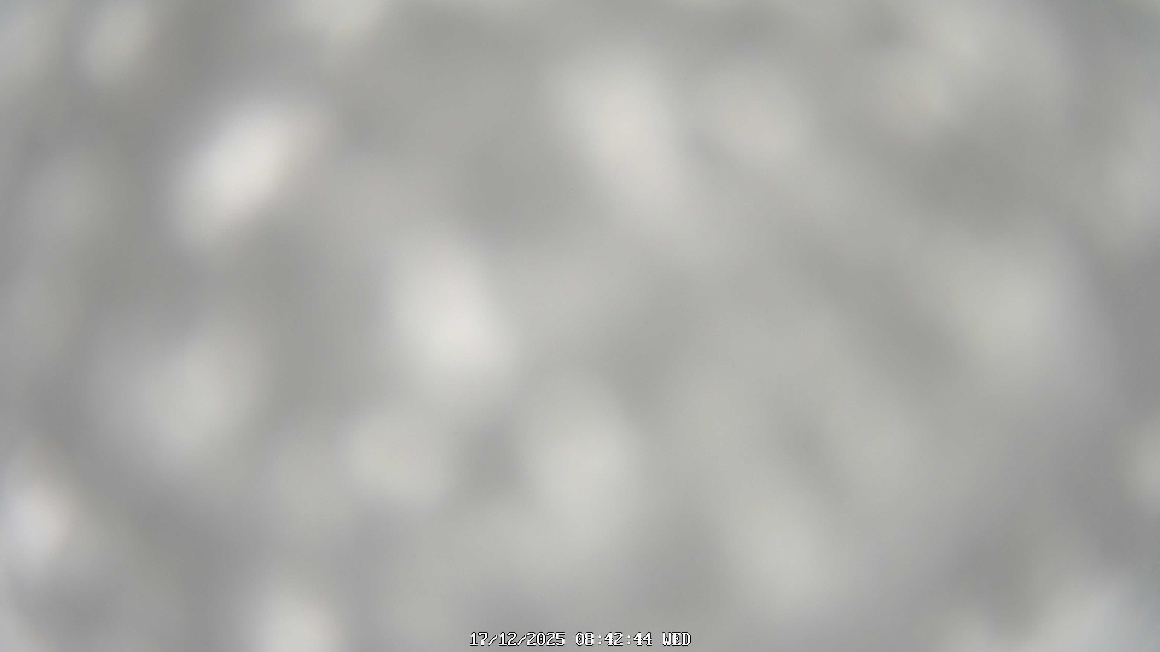 immagine della webcam nei dintorni di Aquila di Arroscia: webcam Garessio