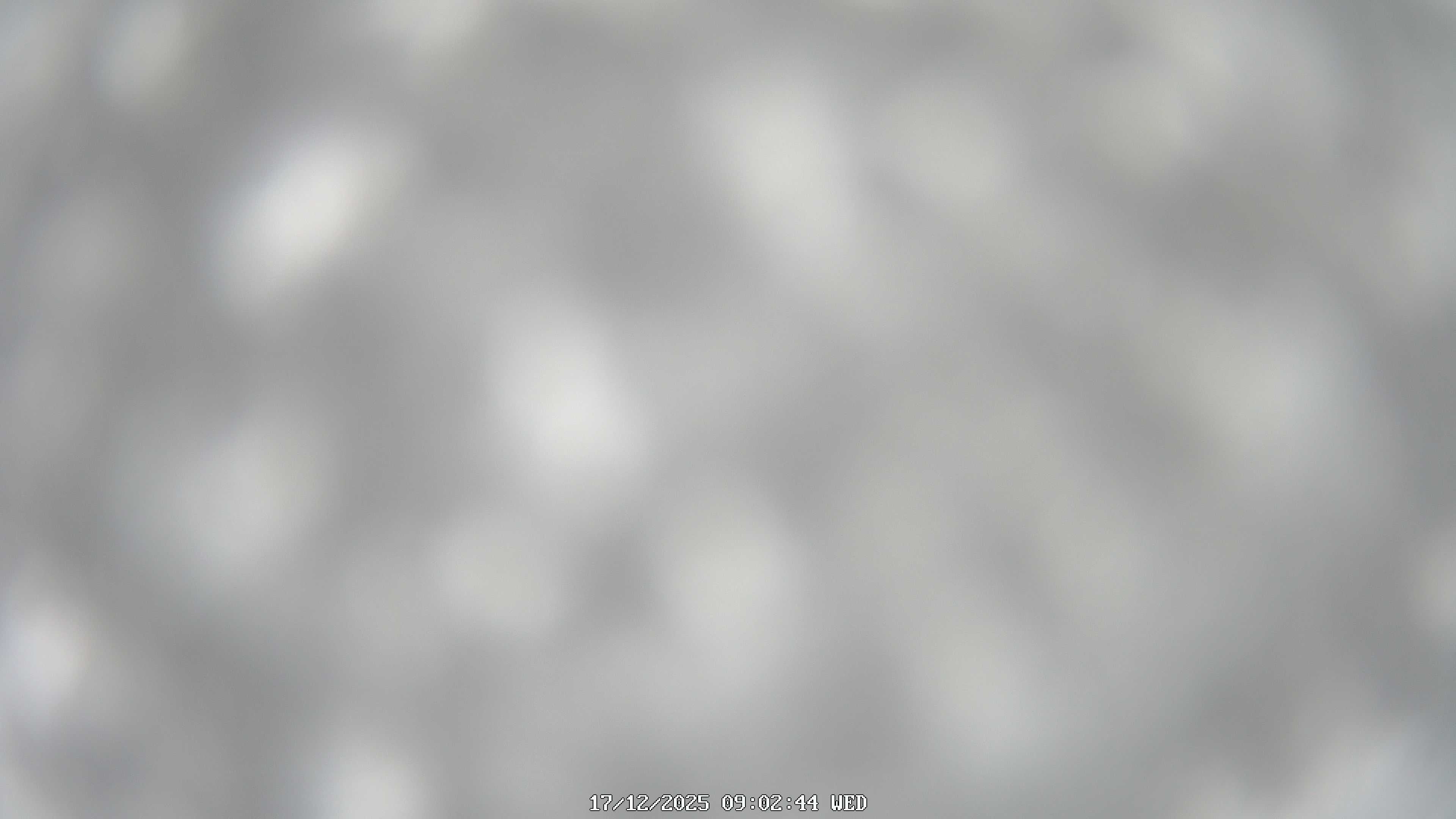 immagine della webcam nei dintorni di Aquila di Arroscia: webcam Garessio