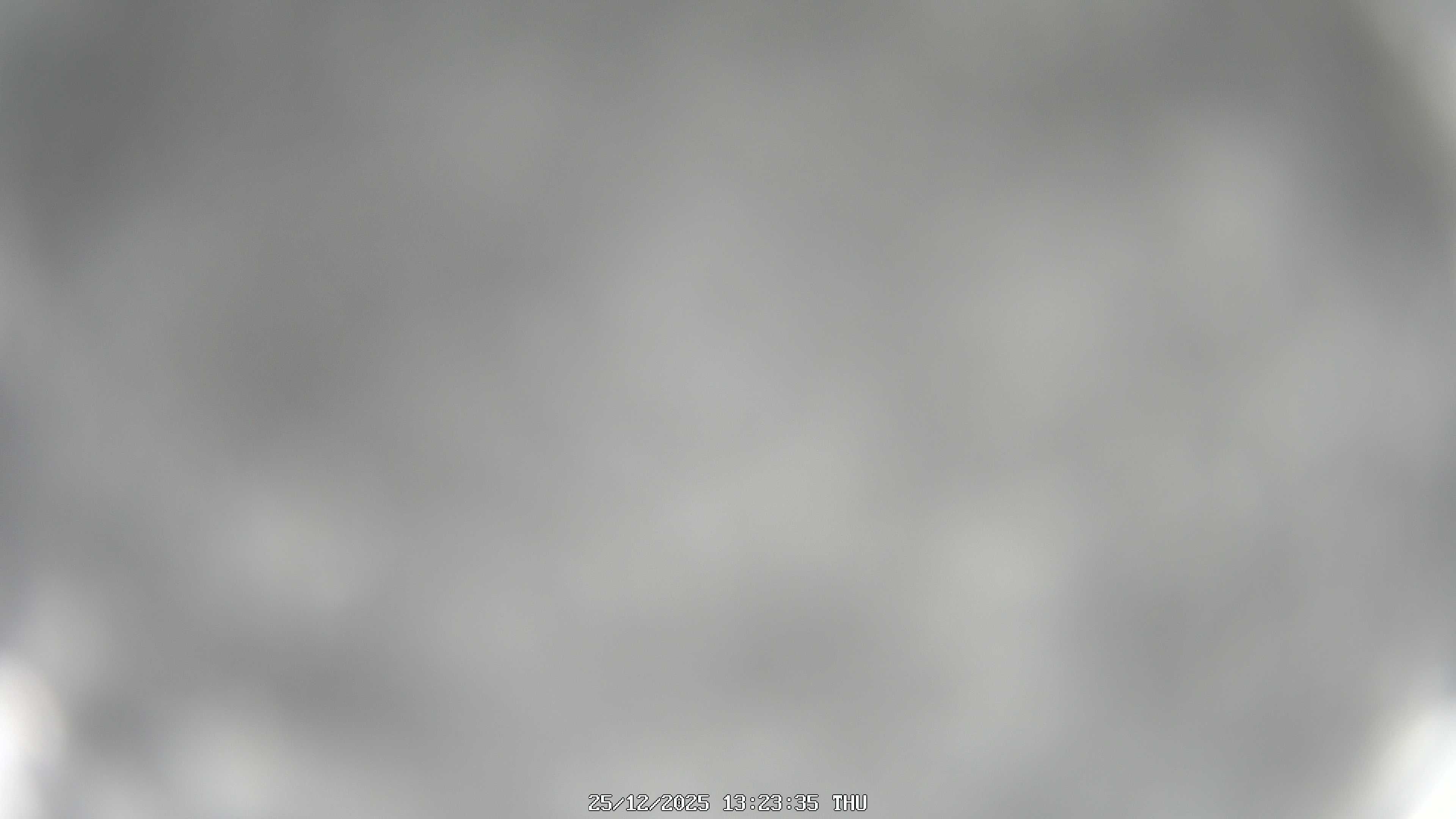 immagine della webcam nei dintorni di Pamparato: webcam Garessio