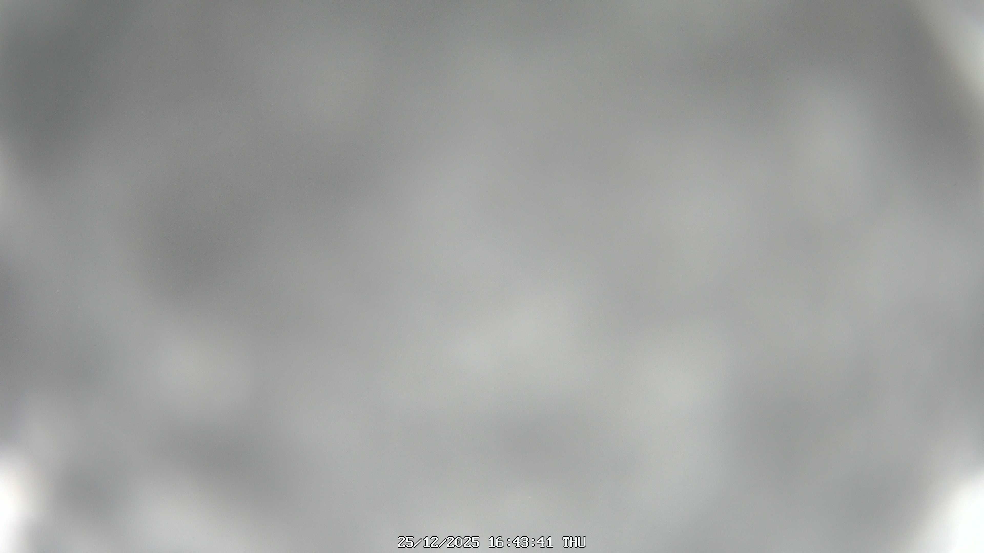 immagine della webcam nei dintorni di Ormea: webcam Garessio