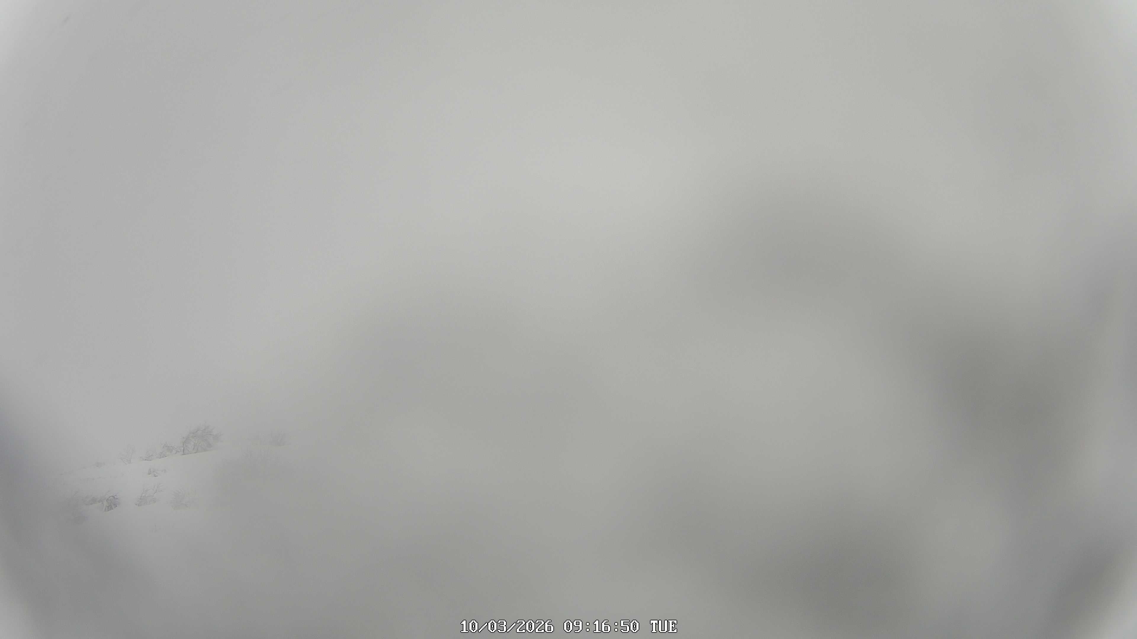 immagine della webcam nei dintorni di Prato Nevoso: webcam Garessio