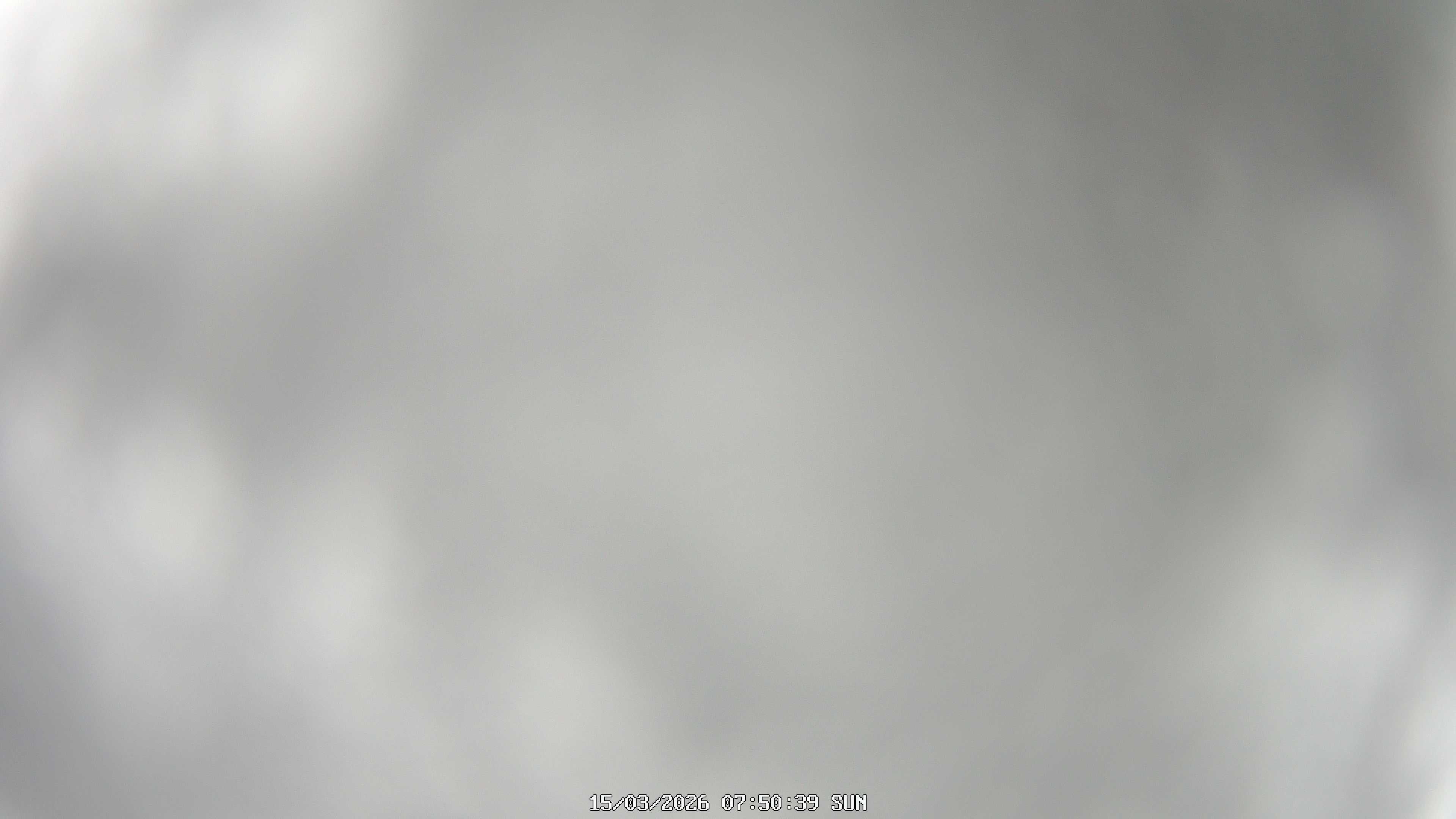 immagine della webcam nei dintorni di Bardineto: webcam Garessio