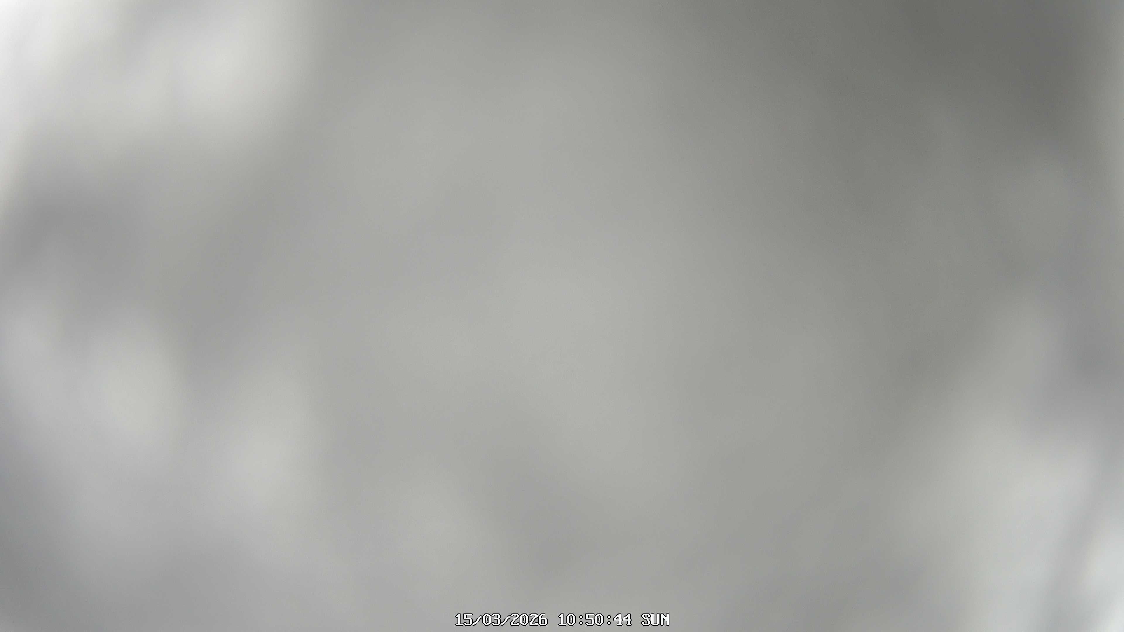 immagine della webcam nei dintorni di Viola: webcam Garessio